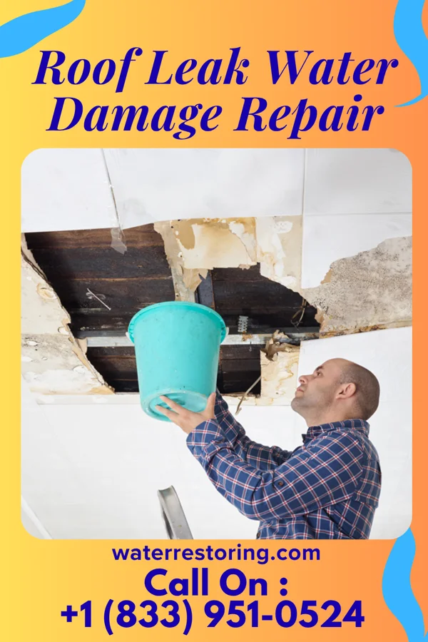 Roof Leak Water Damage Repair in Hawkins, TX