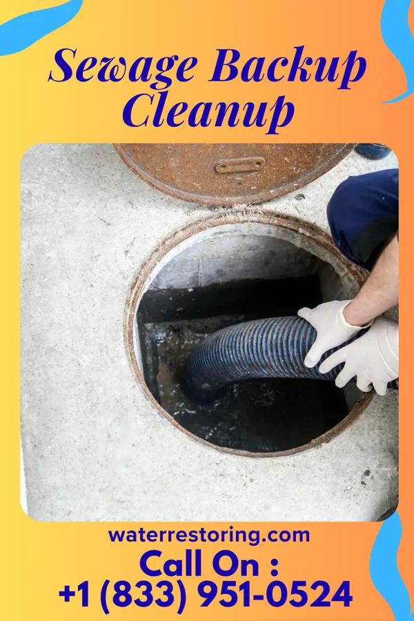 Sewage Backup Cleanup in Hawkins, TX